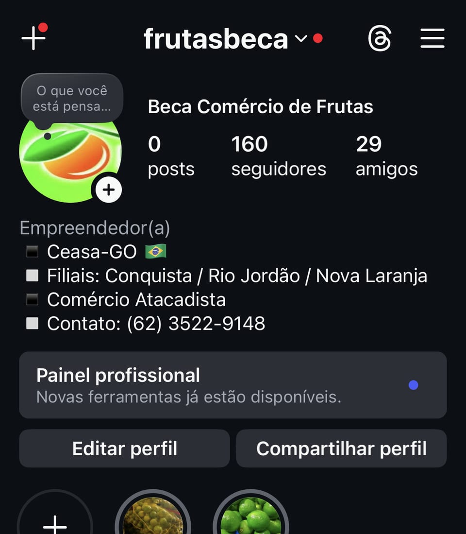 Perfil da Frutas Beca no Instagram antes do projeto, com zero publicações.
