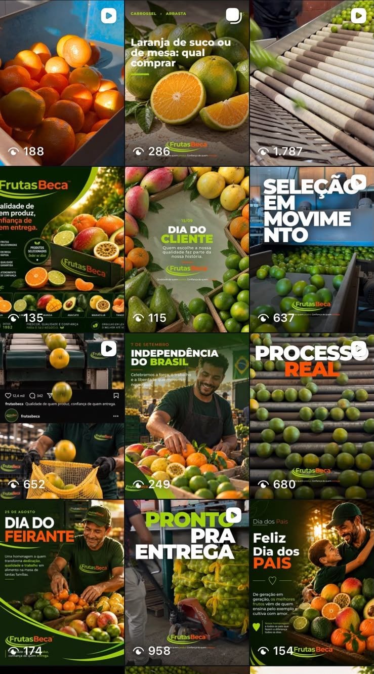 Feed do Instagram da Frutas Beca, com a marca aplicada nas publicações.