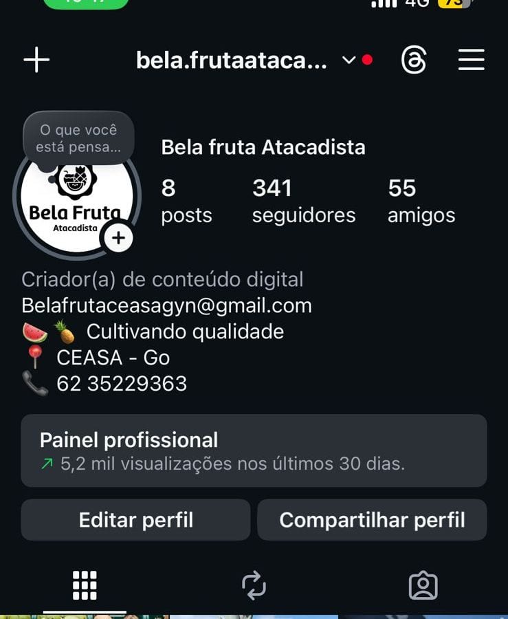 Perfil da Bela Fruta no Instagram antes do projeto, com o logotipo antigo.