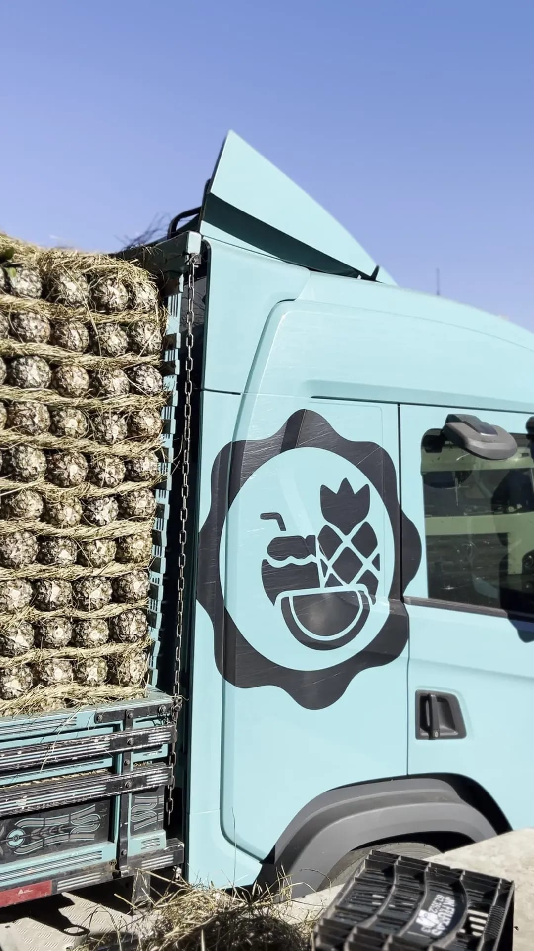Caminhão carregado de abacaxis com o selo da FRUTAFORTE na cabine.