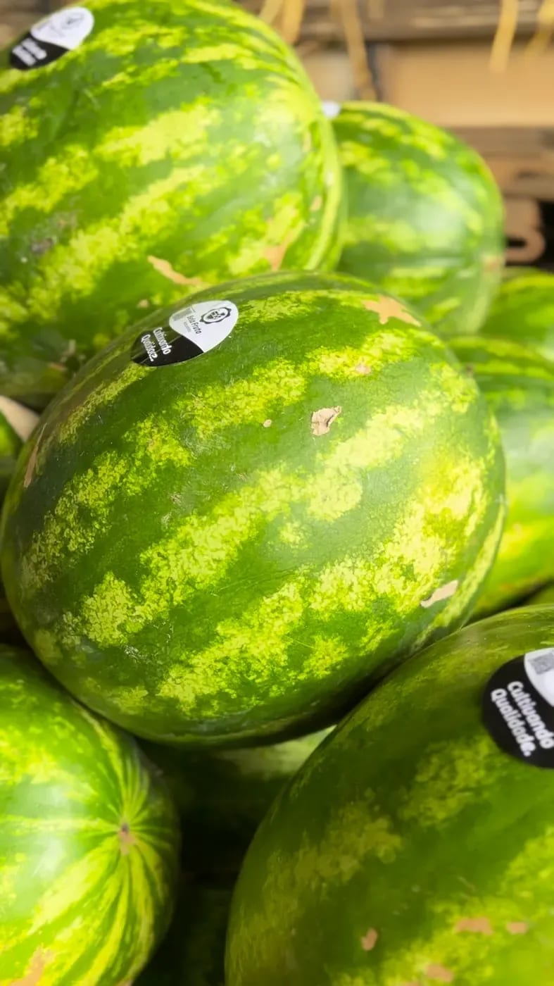 Melancias com etiqueta redonda do selo.