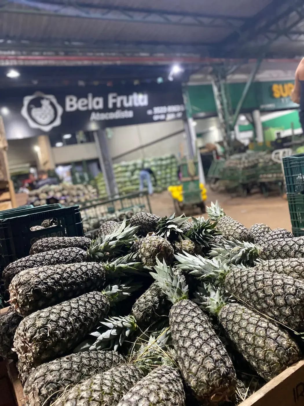Placa da Bela Fruta Atacadista no galpão da CEASA, sobre pilhas de abacaxi.