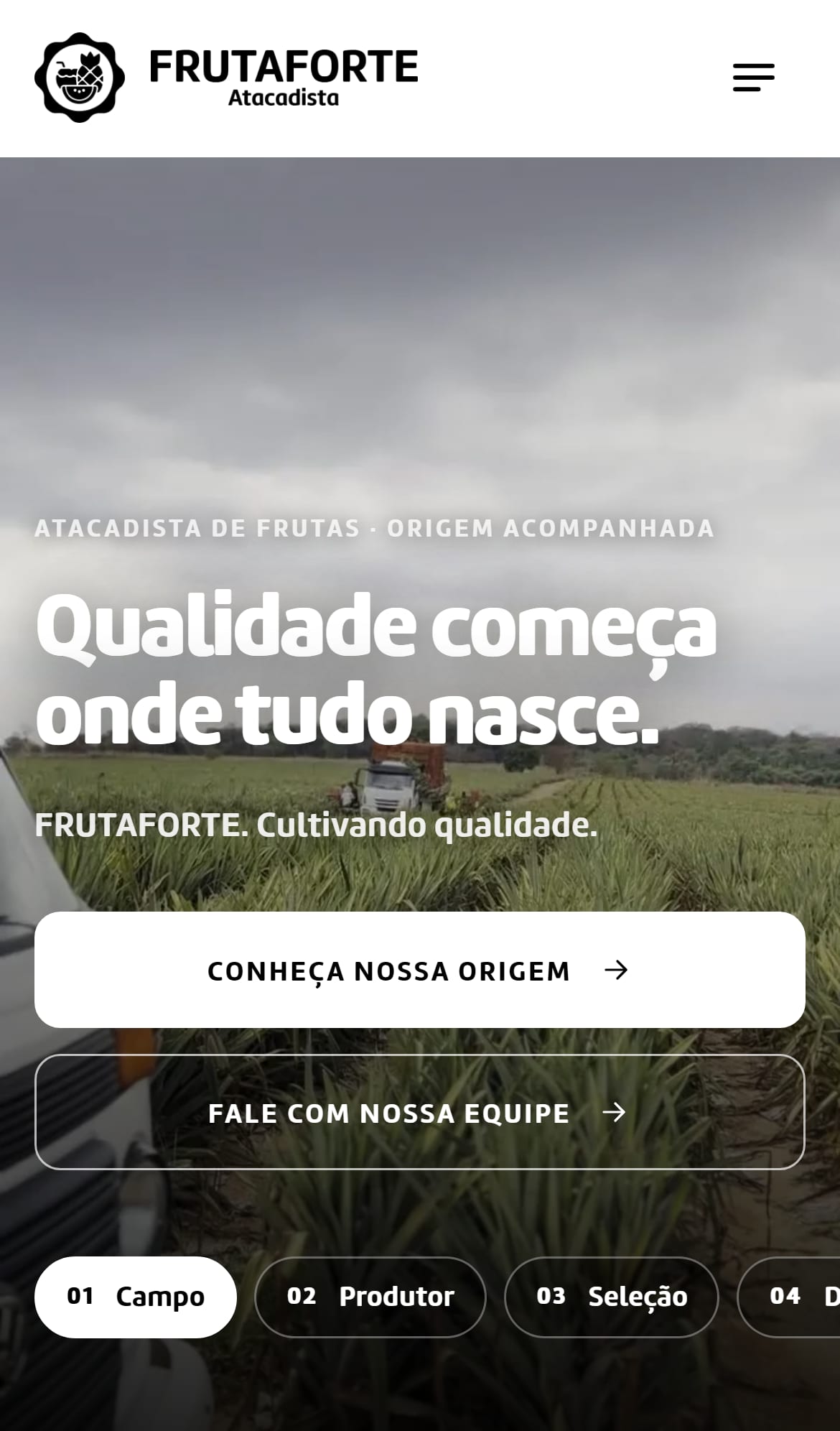 Site da FRUTAFORTE no celular.
