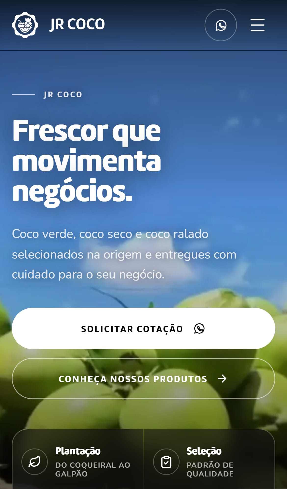 Site da JR COCO no celular.